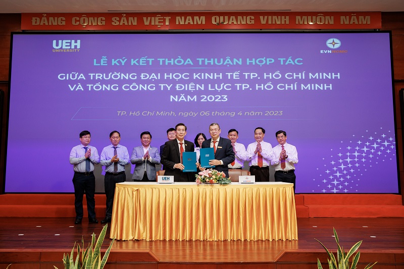 cá cược thể thao hul city